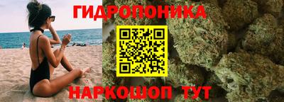 прущие грибы Абакан