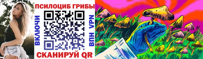 Псилоцибиновые грибы Psilocybe  ОМГ ОМГ ТОР  Гурьевск 