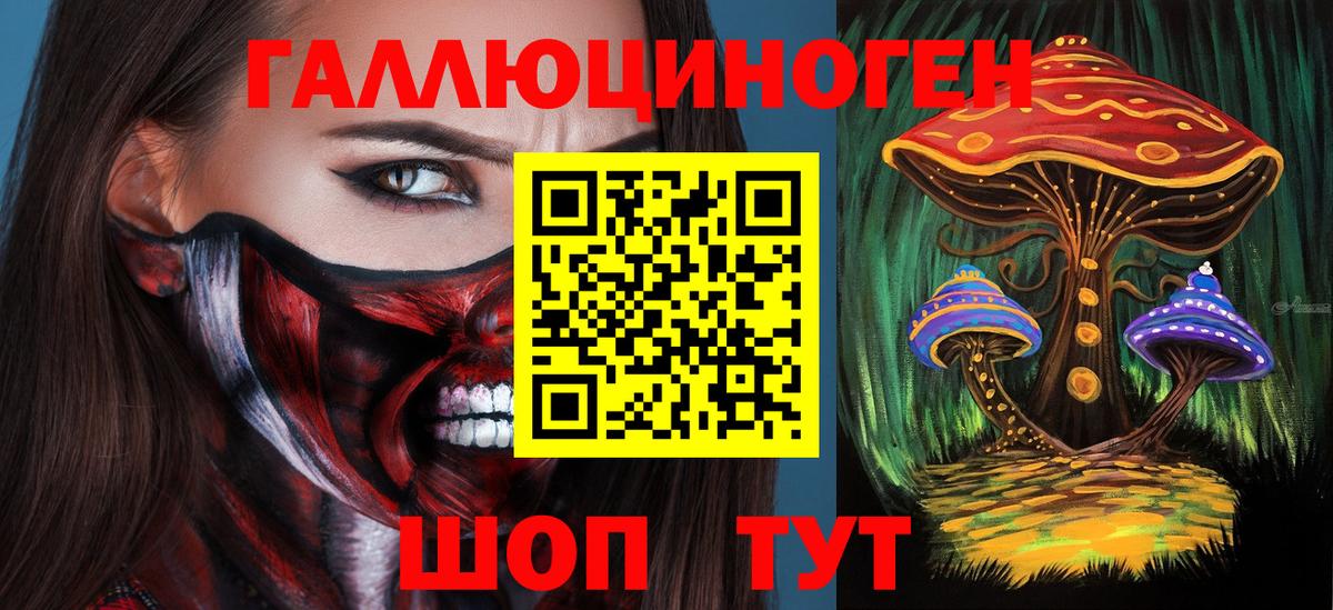 где купить наркоту  Галлюциногенные грибы Magic Shrooms  Гурьевск  Вход с VPN  Псилоцибиновые грибы прущие грибы 