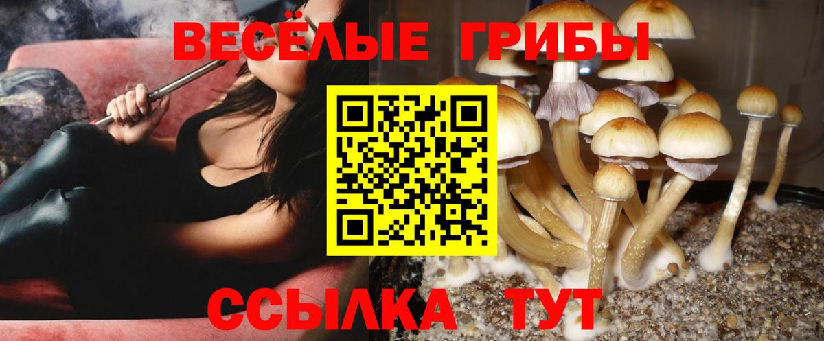Псилоцибиновые грибы мухоморы Гурьевск