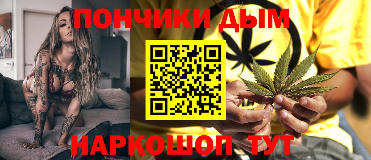 Каннабис сатива Гурьевск